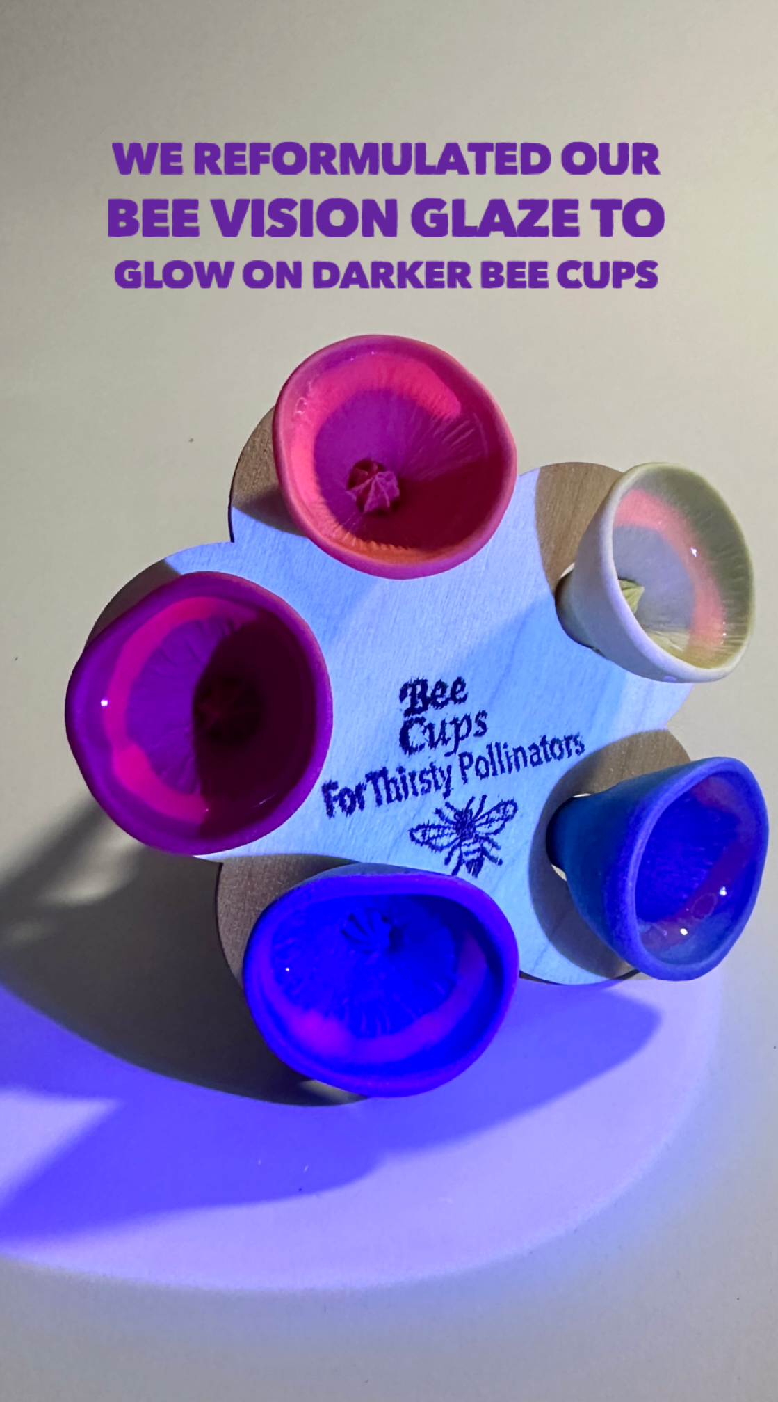 Bee Cups | Pack of 5