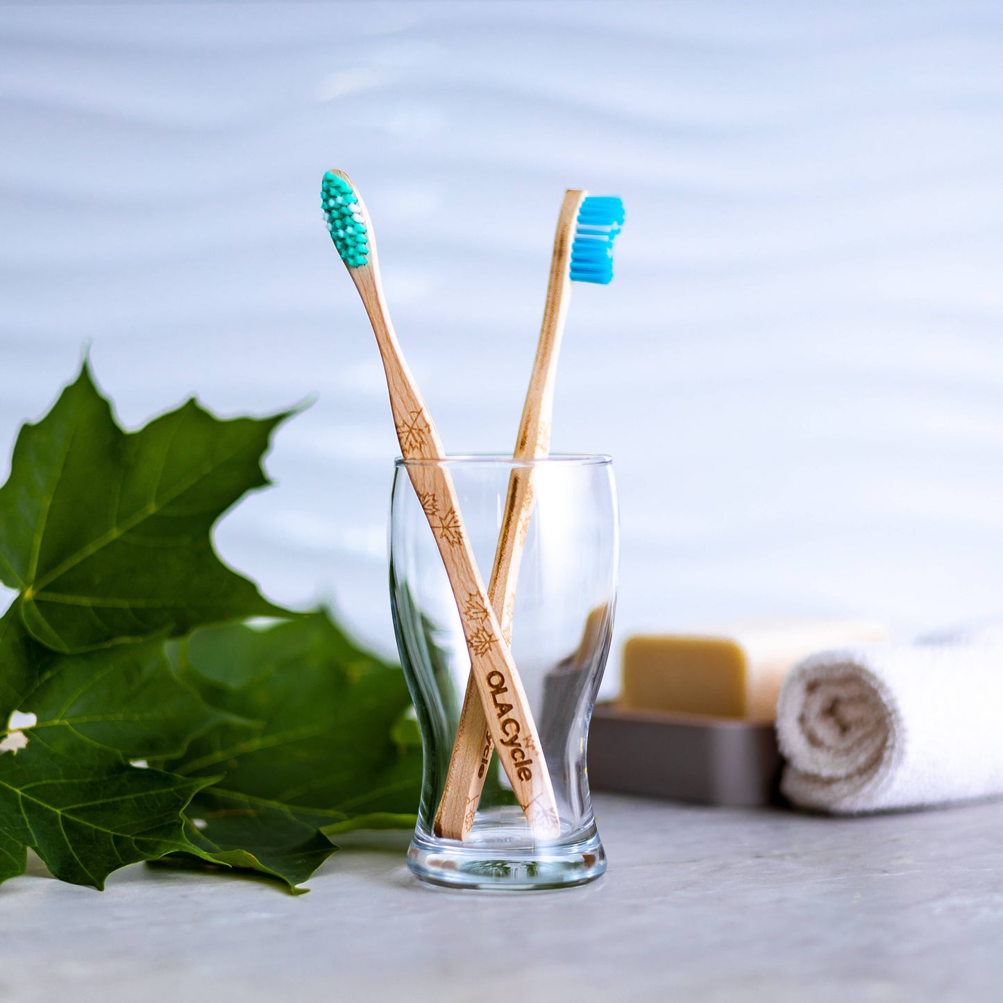 Toothbrush - Canadian Maple Wood