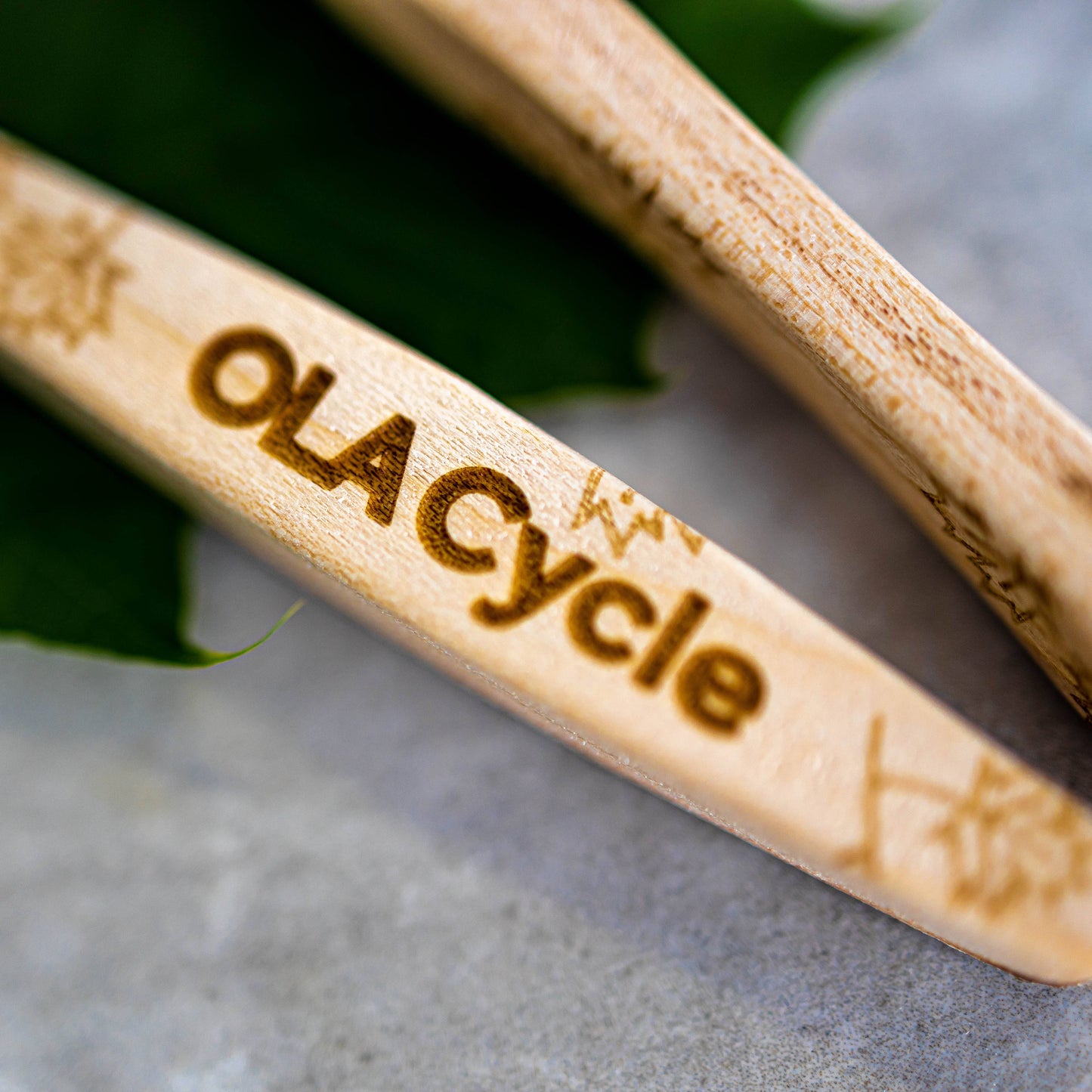 Toothbrush - Canadian Maple Wood