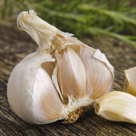 Garlic Olive Oil