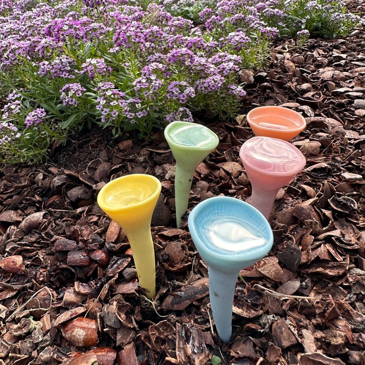 Bee Cups | Pack of 5