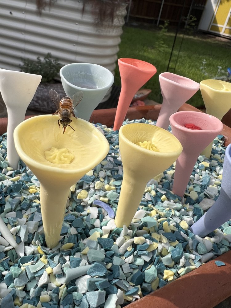 Bee Cups | Pack of 5