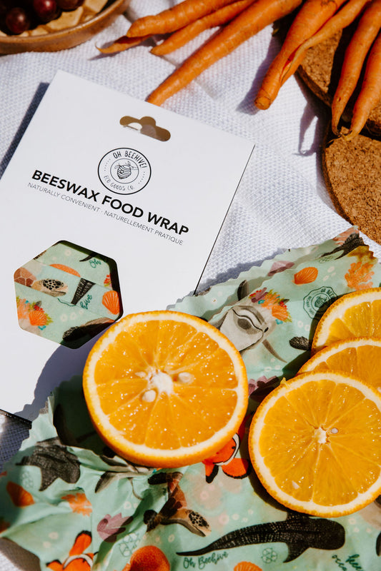 Starter Pack of 5 Under the Sea