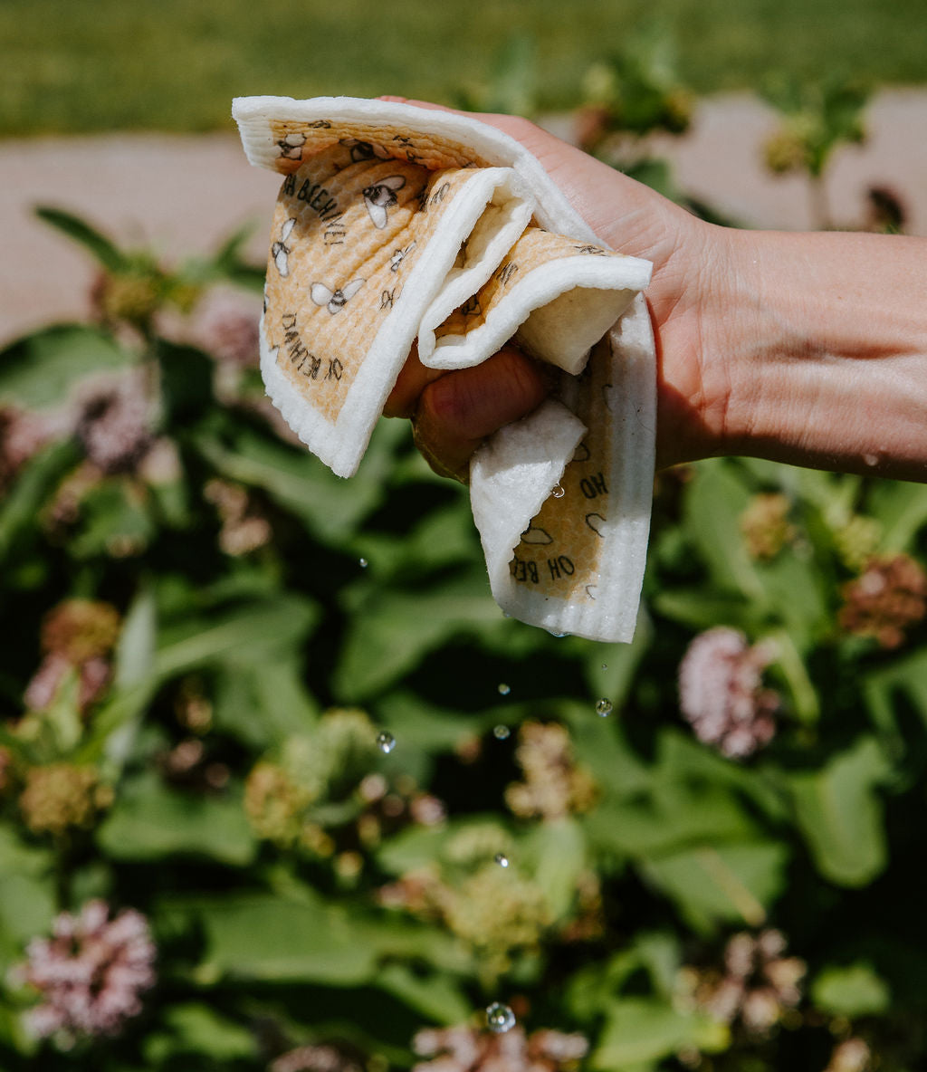 Buzzy Bee Reusable Dish Cloth