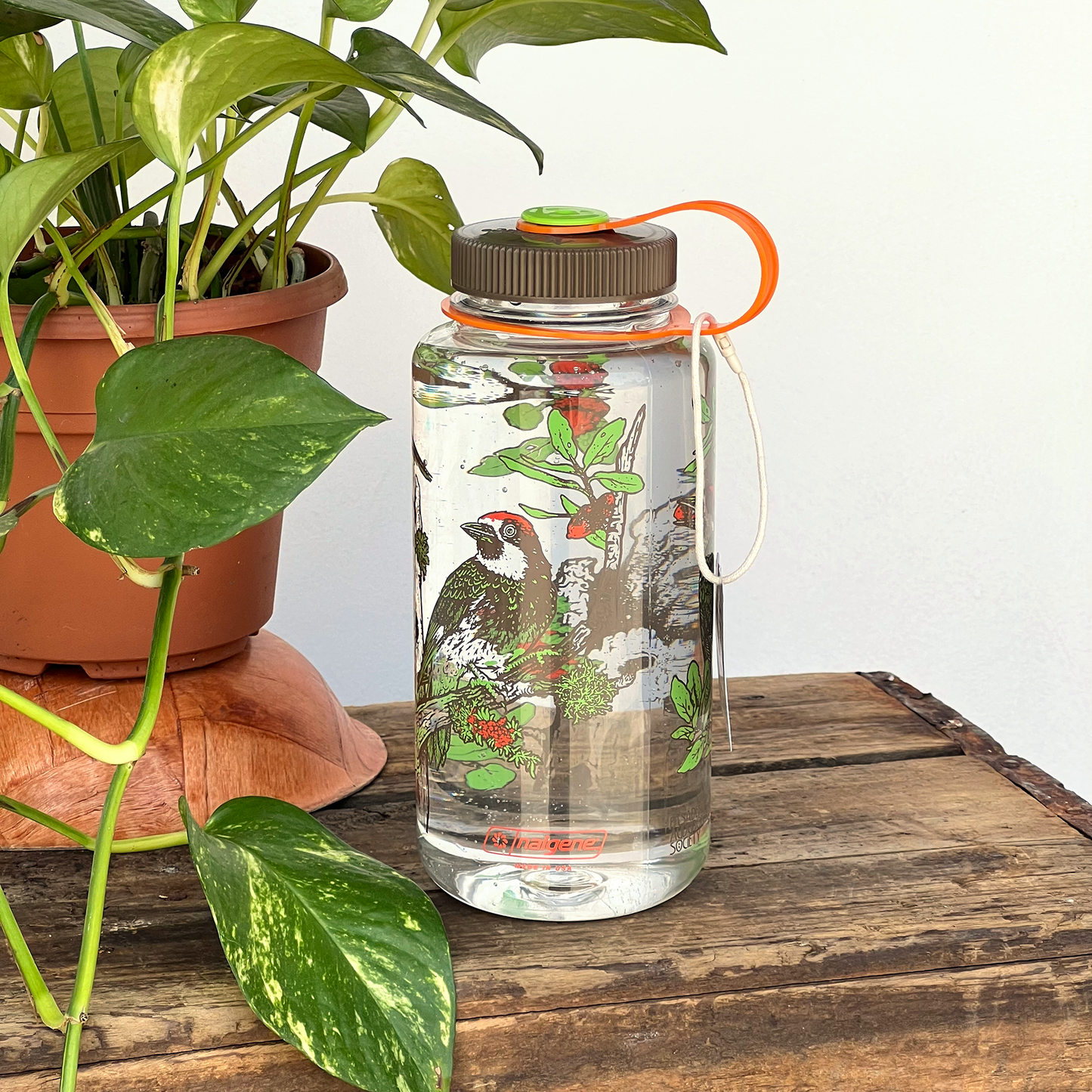 Nalgene: Chaparral