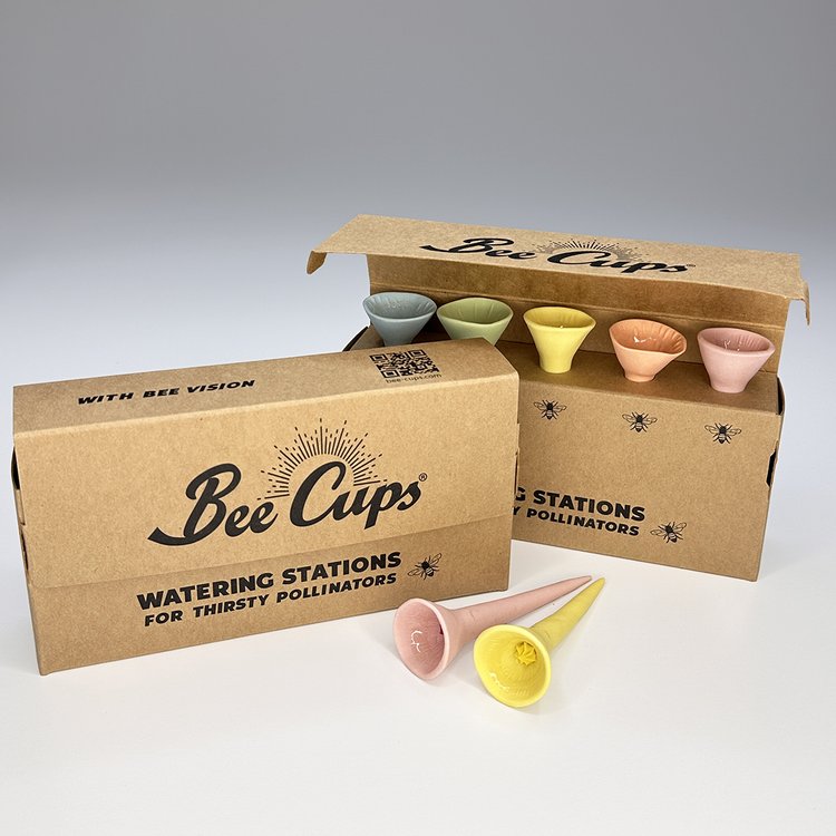 Bee Cups | Pack of 5