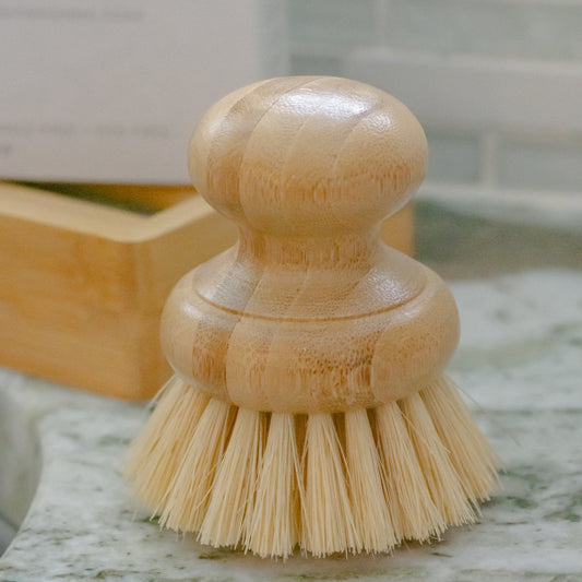 Dish Brush Scrubber