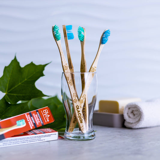 Toothbrush - Canadian Maple Wood
