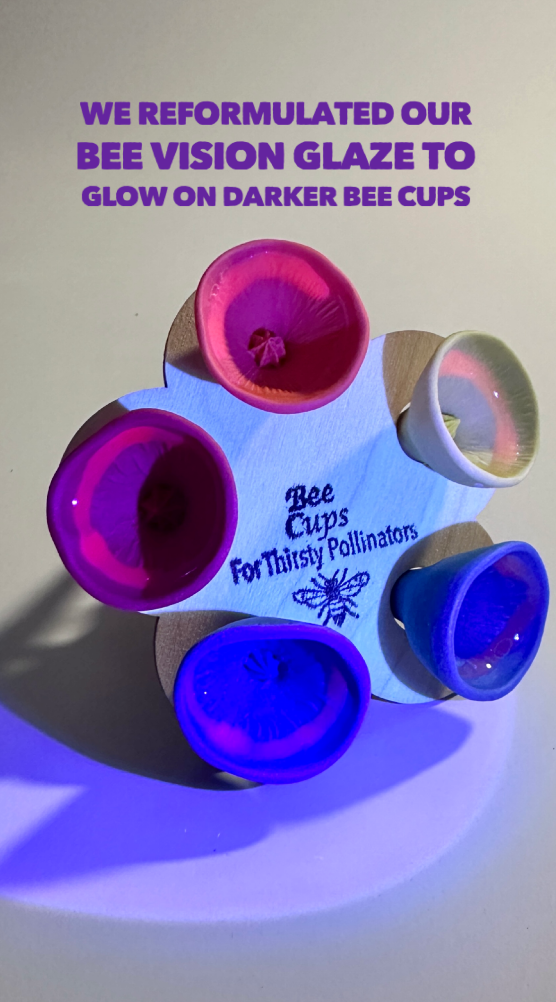 Bee Cups | Pack of 5 ONLINE EXCLUSIVE