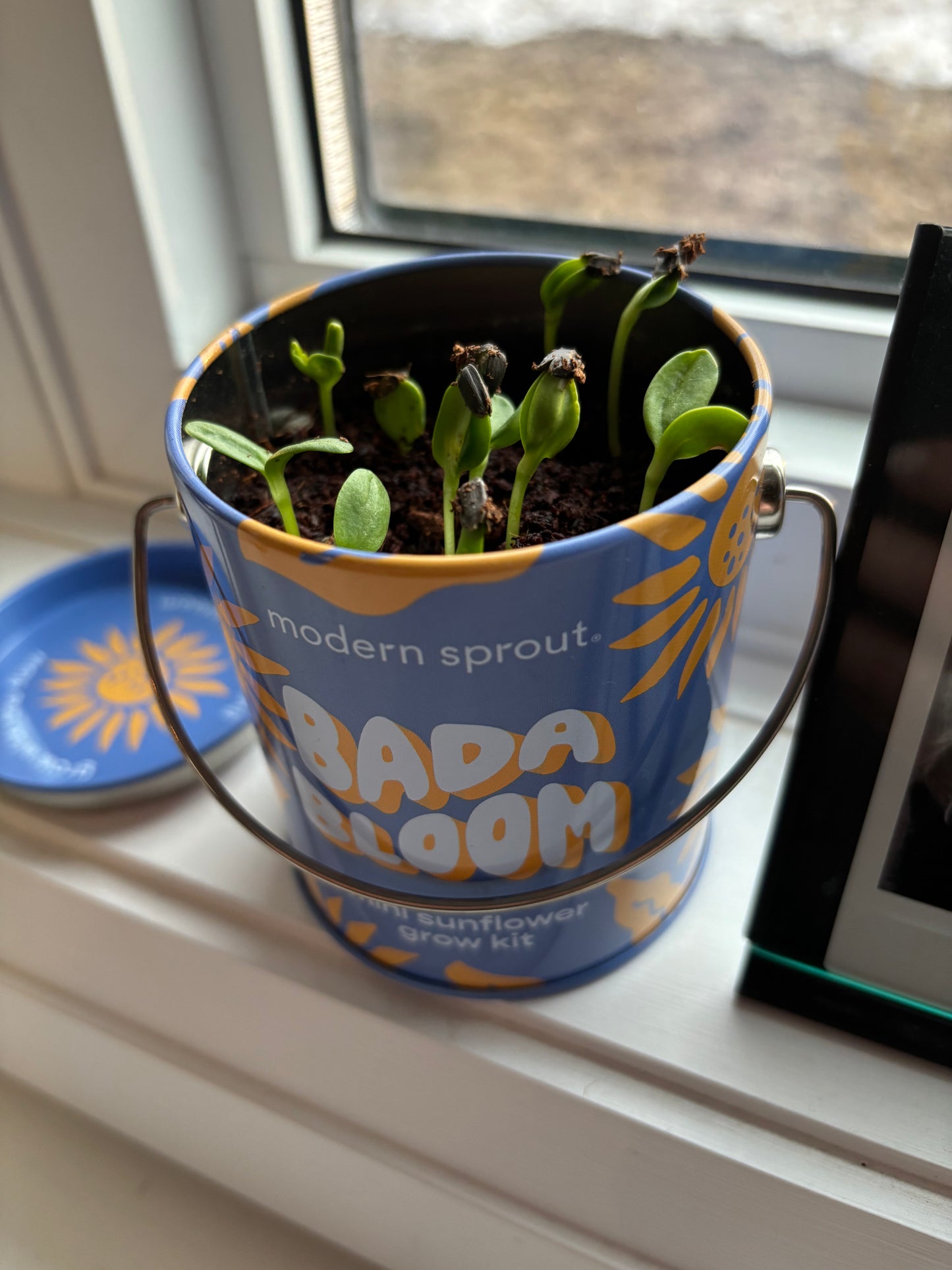 Grow Kit