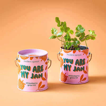 Grow Kit