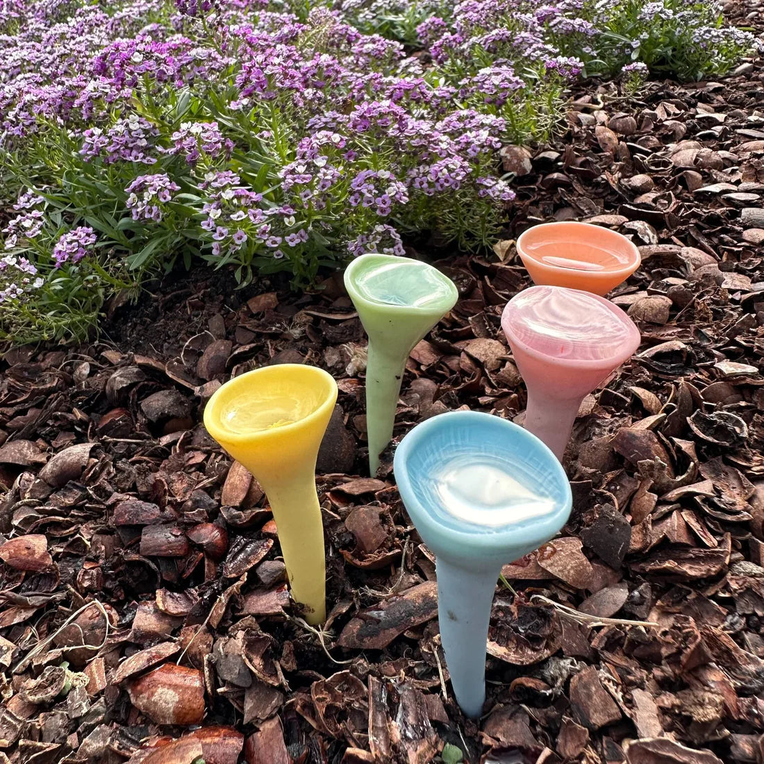 Bee Cups | Available Now!