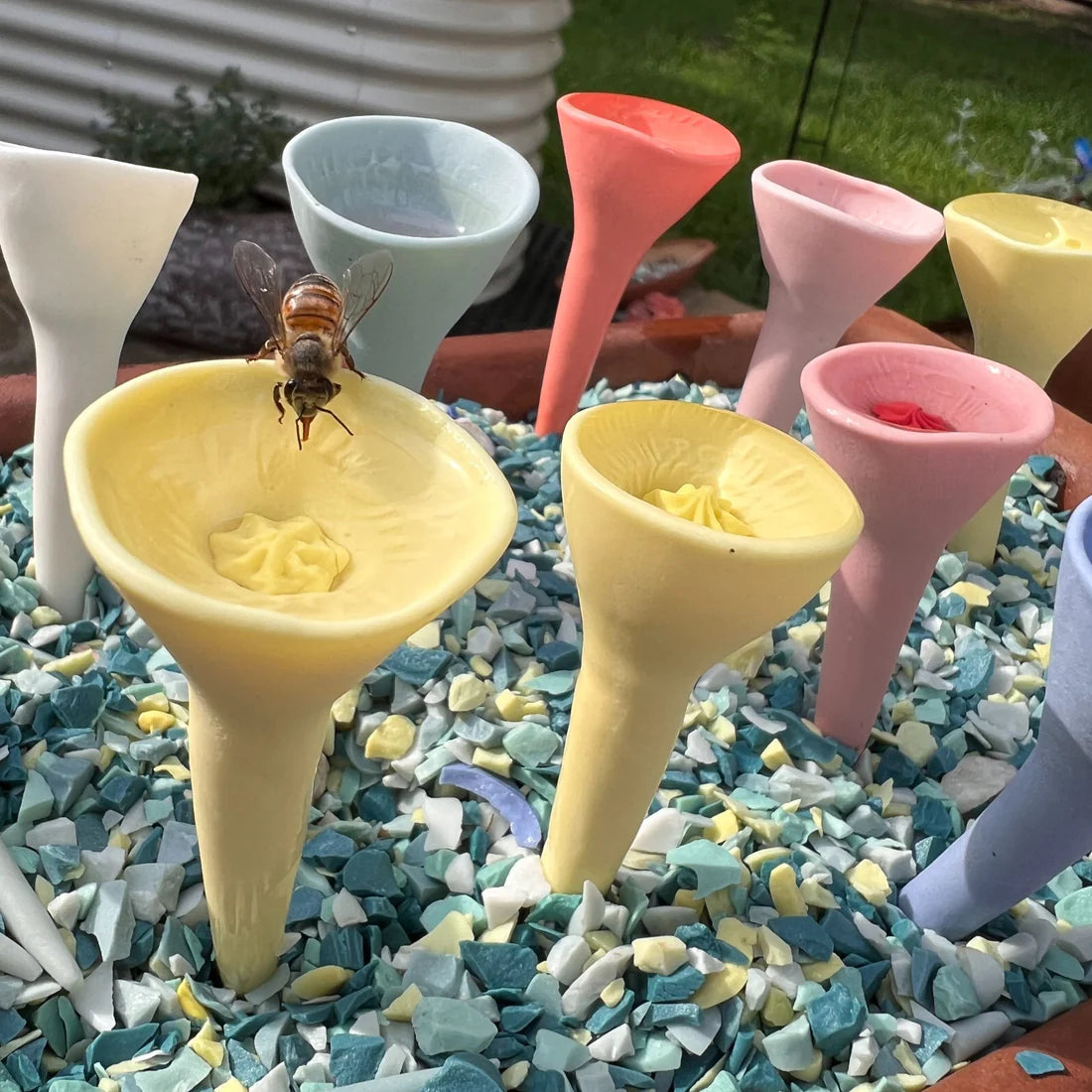 Bee Cups | Available Now!