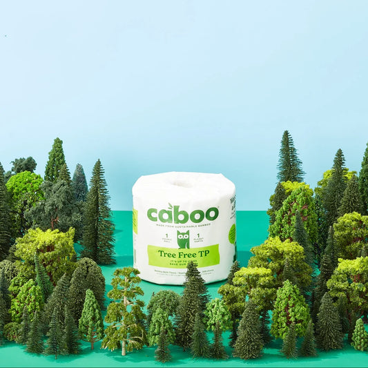Caboo Bamboo Toilet Paper