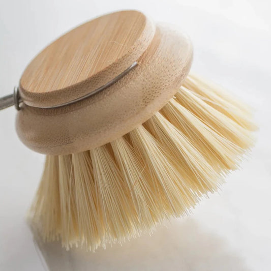 Replaceable Brush Head for Long Handle Dish Brush