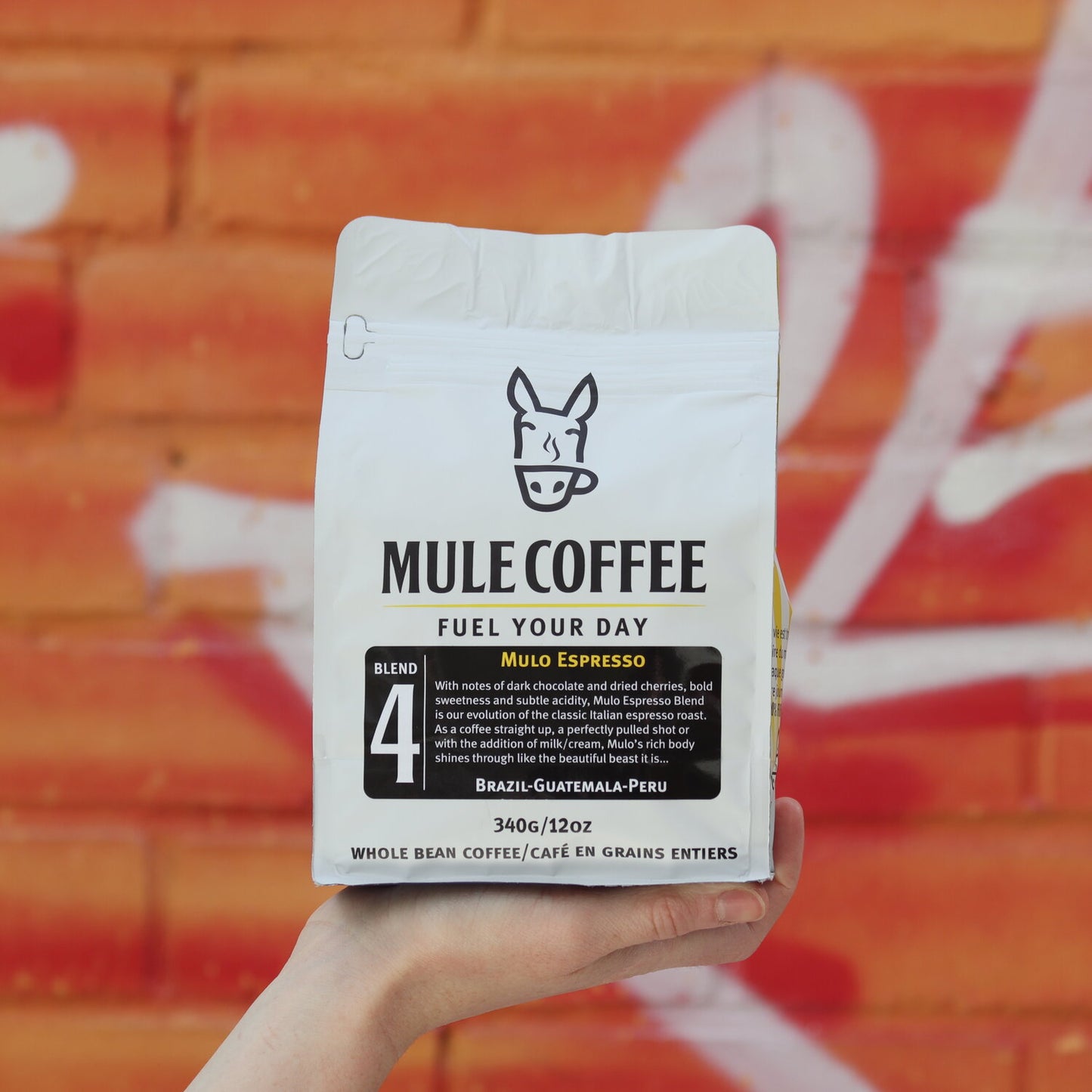 Mulo Espresso | Whole Bean Coffee